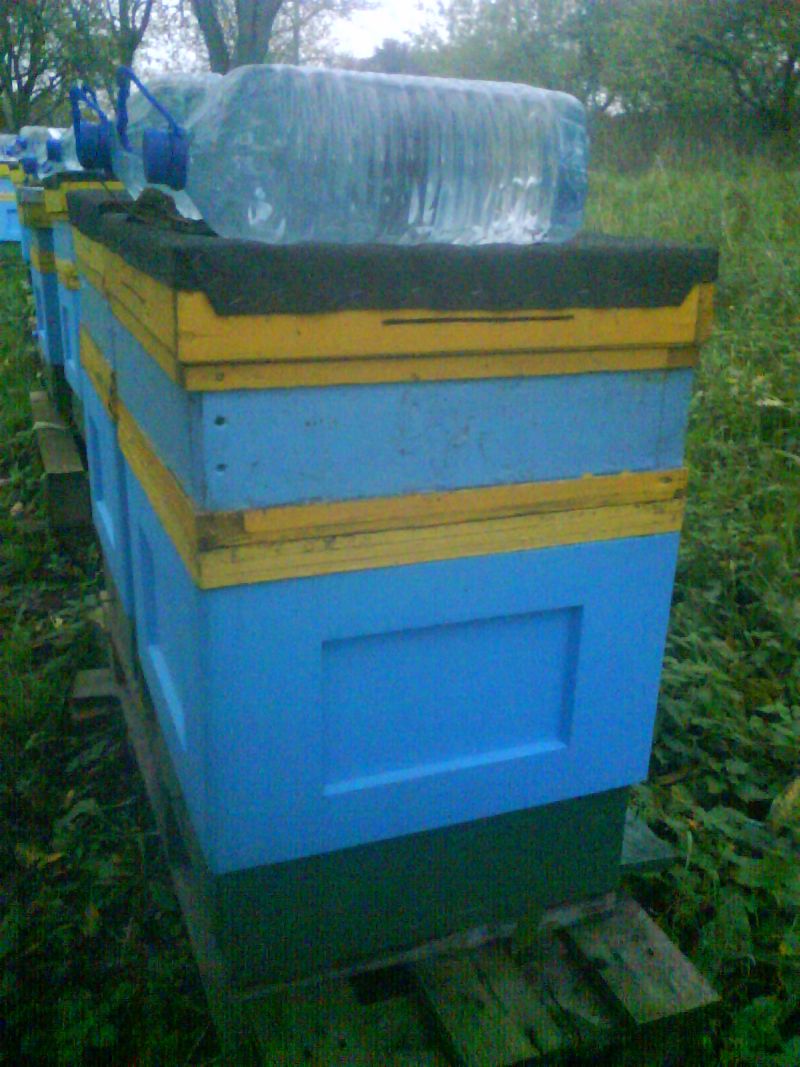 Skradzione ule w miejscowości: Gryfino (woj. zachodniopomorskie).