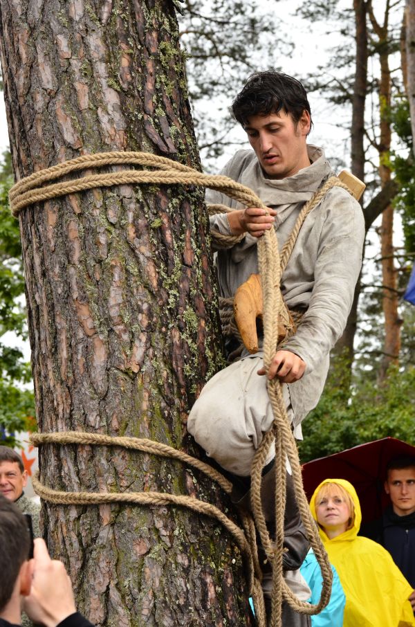 Barciowisko 2015. Autor zdjęć: Katarzyna Judycka (Pasieka u Alfreda).