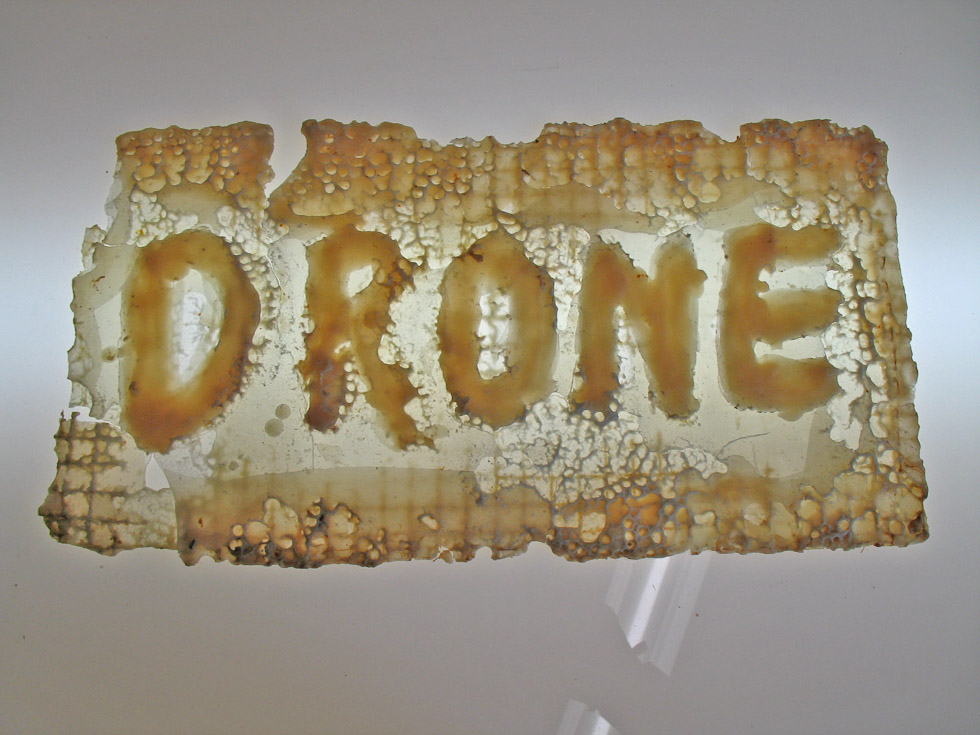 Pszczela produkcja znaków. Autorka: Aganetha Dyck. Fotografia: Peter Dyck. Źródło: www.aganethadyck.ca Artystka udzieliła nam pisemnej zgody na publikację fotografii jej prac.