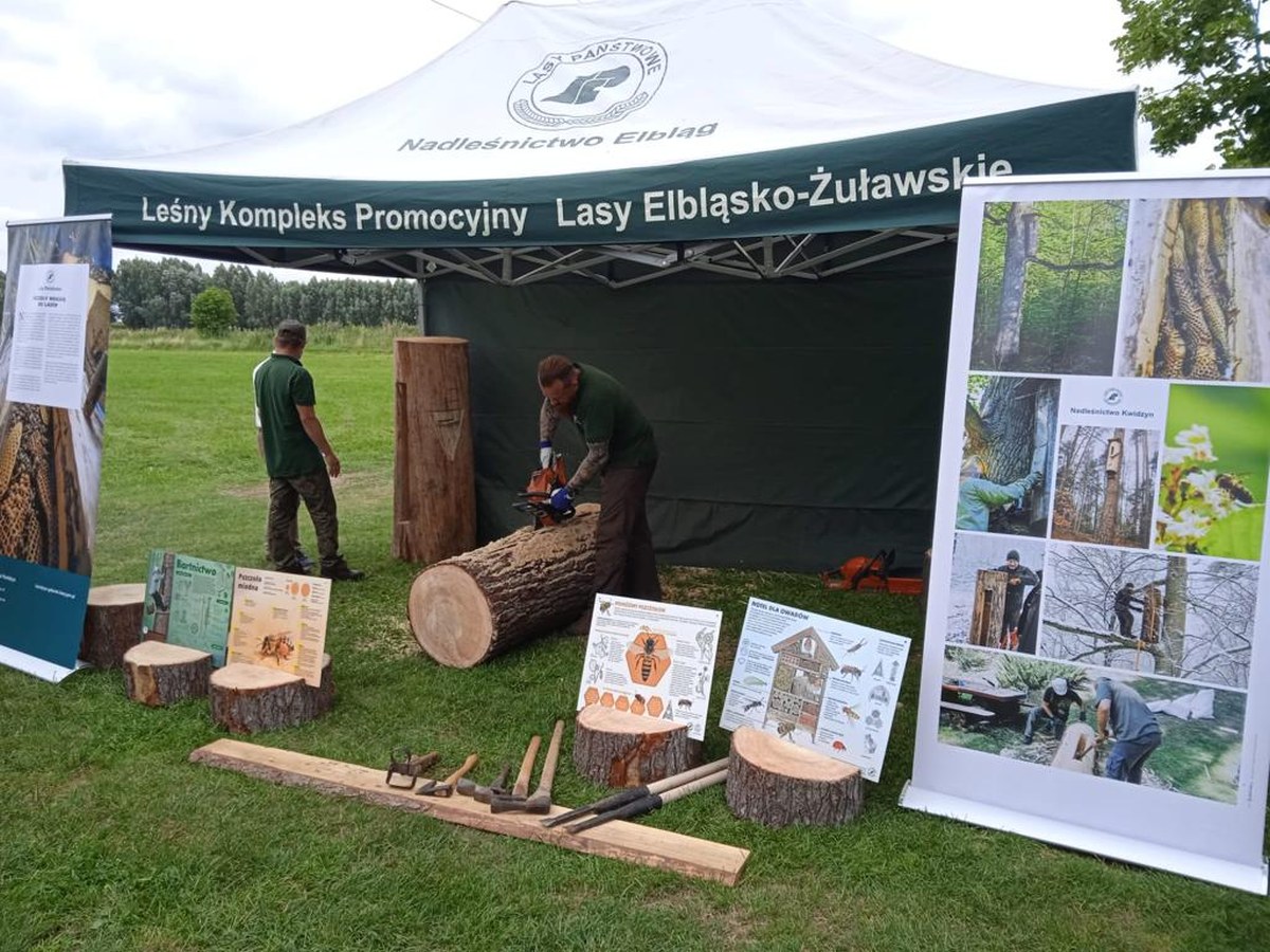 Stanowisko Lasów Państwowych i dzianie barci. Autorka zdjęcia: Joanna Zuehlke