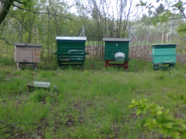 Autor zdjęcia: Łukasz Netczuk