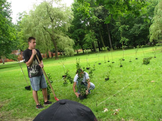 Rozlokowanie roślin na terenie ogrodu. Autor: Marek Przybysz.