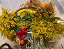 Relacja z wydarzenia pt. XXII Wojewódzki Dzień Pszczelarza i XIV Wojewódzkie Święto Pszczoły, które odbyły się 14. września 2025 r. w Łodzi. Wydarzenie zostało zorganizowane przez Wojewódzki Związek Pszczelarzy w Łodzi.