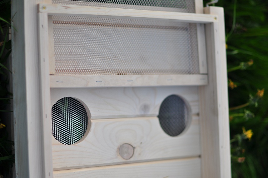 Otwory wentylacyjne - dennica higieniczna ula wielkopolskiego. Źródło zdjęcia: Bartnicy.pl