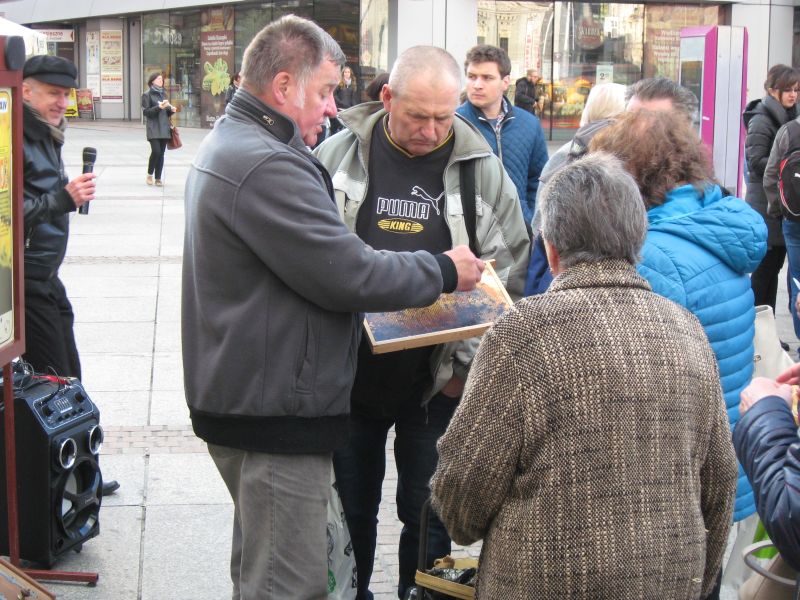 Pokaz ramki pszczelej podczas II Festiwalu Miodu w Katowicach. Autor zdjęcia: Kazimierz Wiśniowski