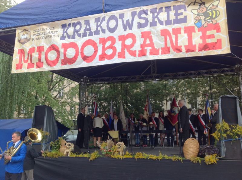 Namiot główny i sztandary. XXII Krakowskie Miodobranie