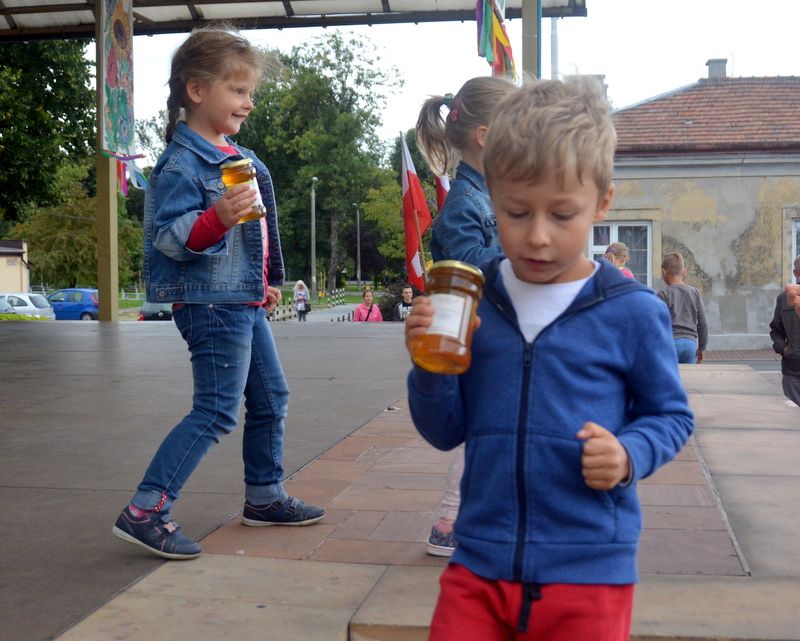 Słodkości przekazane najmłodszym uczestnikom konkursu zorganizowanego podczas I Konferencji Pszczelarskiej w Brzesku (02.09.2017 r.). Autor zdjęcia: Marek Kotfis