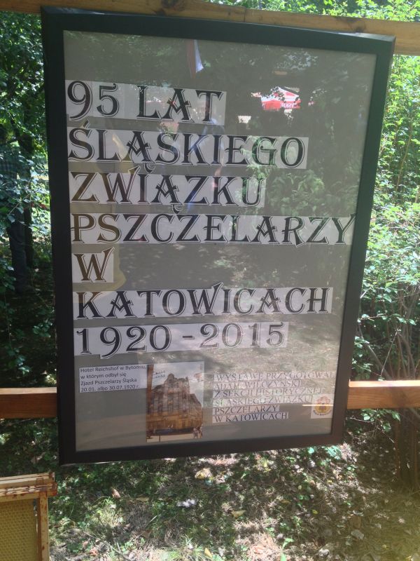 95 lat Śląskiego Związku Pszczelarzy w Katowicach.