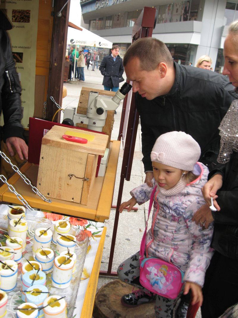 Najpierw tata sprawdza co widać pod mikroskopem na II Festiwalu Miodu w Katowicach. Autor zdjęcia: Kazimierz Wiśniowski
