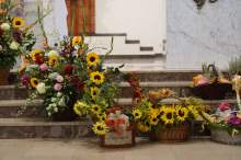 Relacja z wydarzenia pt. XXII Wojewódzki Dzień Pszczelarza i XIV Wojewódzkie Święto Pszczoły, które odbyły się 14. września 2025 r. w Łodzi. Wydarzenie zostało zorganizowane przez Wojewódzki Związek Pszczelarzy w Łodzi.