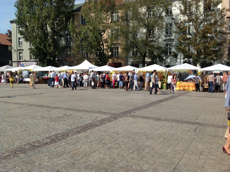 Widok na Plac Wolnica, miejsce XXI Krakowskiego Miodobrania. Autorka zdjęcia: Ewa Balana