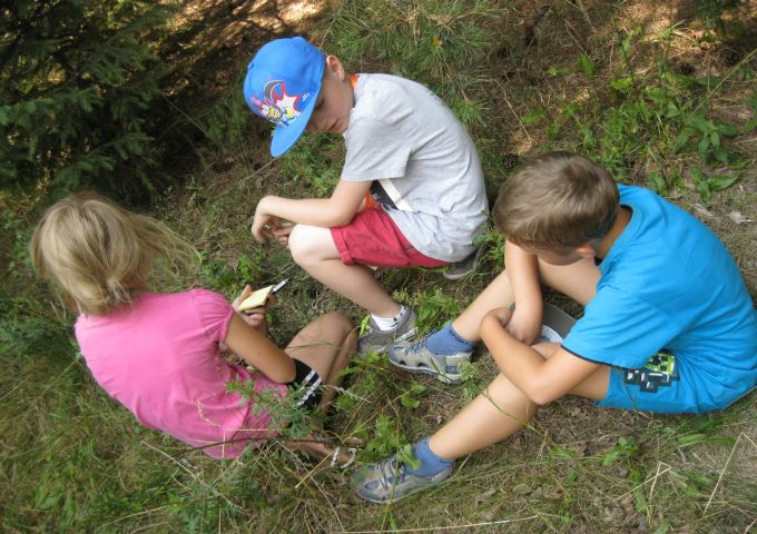 W trakcie obserwacji. Źródło zdjęcia: materiały przekazane przez p. Agatę Wojtuń.