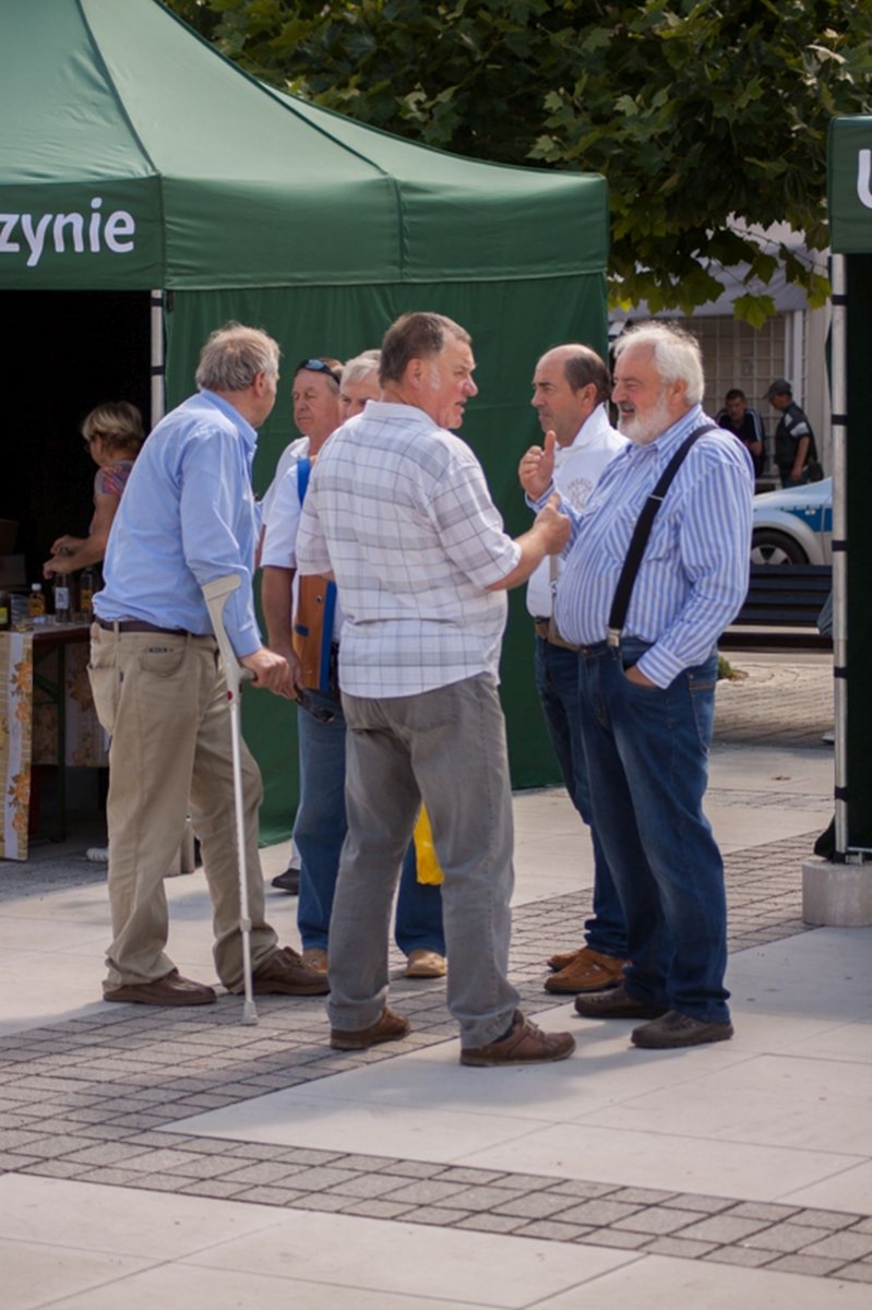 Wymiana doświadczeń między pszczelarzami podczas wydarzenia o nazwie: VII Święto Miodu w Pszczynie. Autor zdjęcia: Kazimierz Wiśniowski