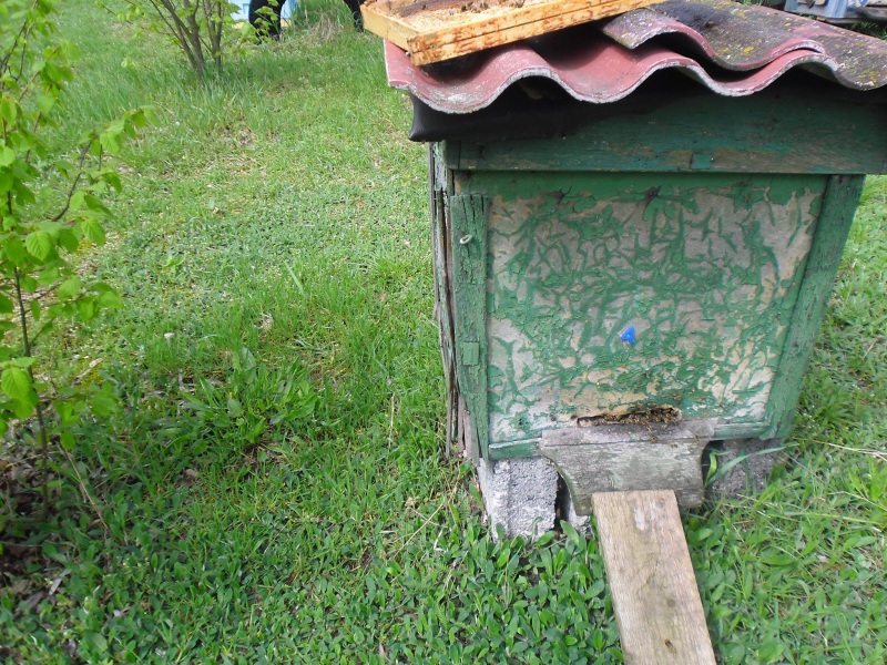 Ul drewniany. Autor zdjęcia: Teresa Jakubowska