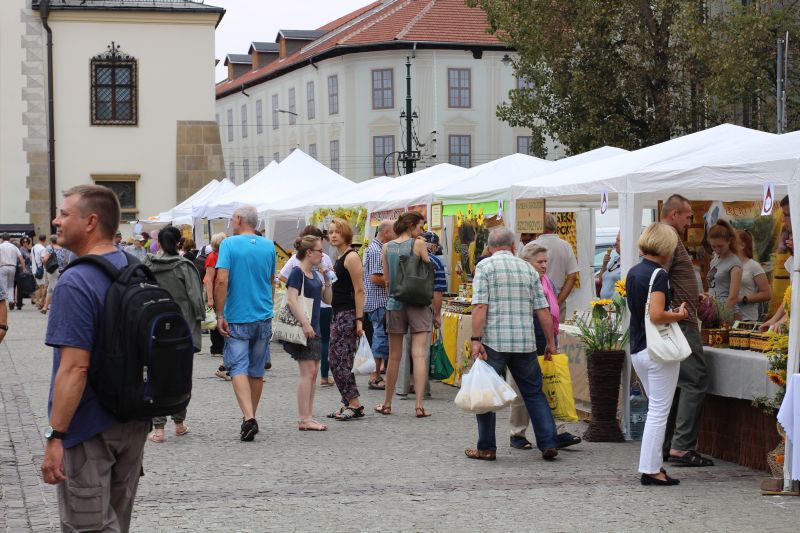 Stoiska wystawców podczas XXIII Krakowskiego Miodobrania. Autor zdjęcia: Paweł Balana