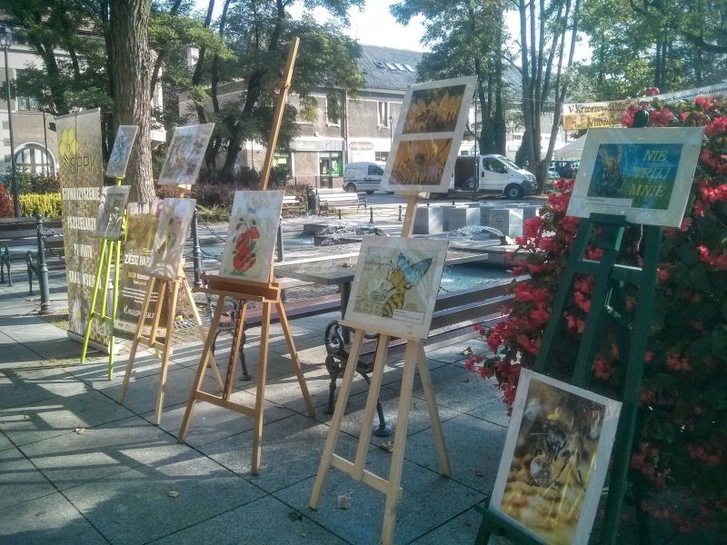 Wystawa prac związanych z pszczelarstwem podczas V Krzeszowickiego Miodobrania. Autorka zdjęcia: Renata Gasek