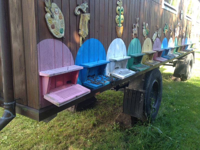 Pszczoły pracujące w Api Wozie.