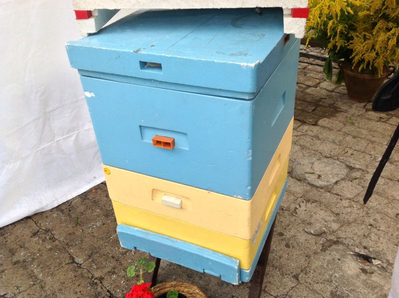 Ul styropianowy. XXII Krakowskie Miodobranie