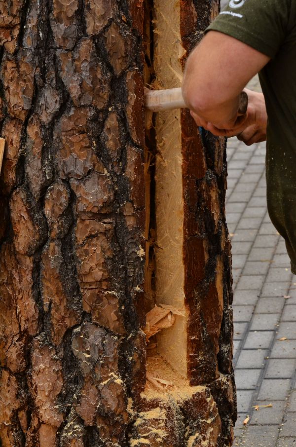 Barciowisko 2015. Autor zdjęć: Katarzyna Judycka (Pasieka u Alfreda).