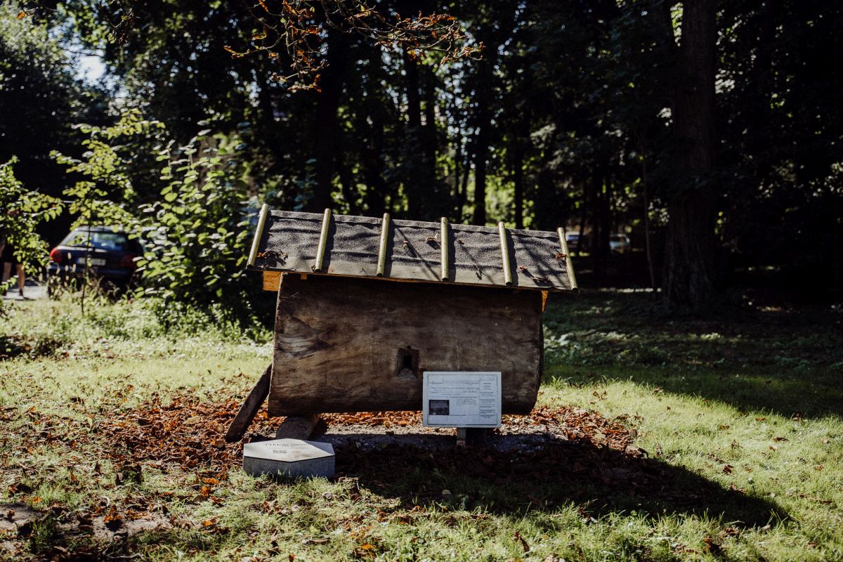 Relacja z wydarzenia pt. Festiwal Kultury Pszczelarskiej w Lublinie 2023