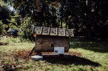 Relacja z wydarzenia pt. Festiwal Kultury Pszczelarskiej w Lublinie 2023