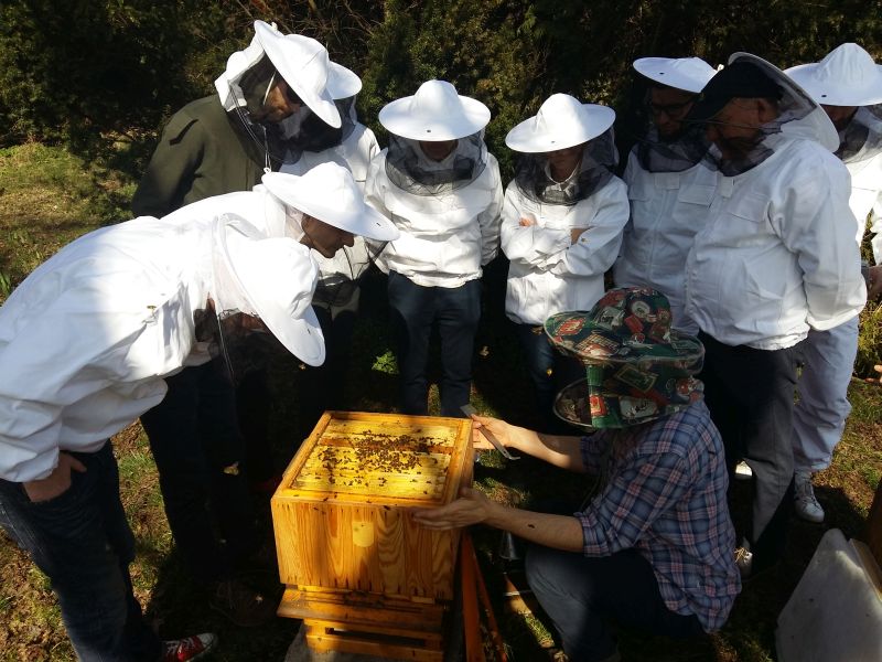 Poszerzanie wiedzy podczas kursu pszczelarskiego Wilanów Miodem Płynący. Autor zdjęcia: Piotr Zwierzchowski