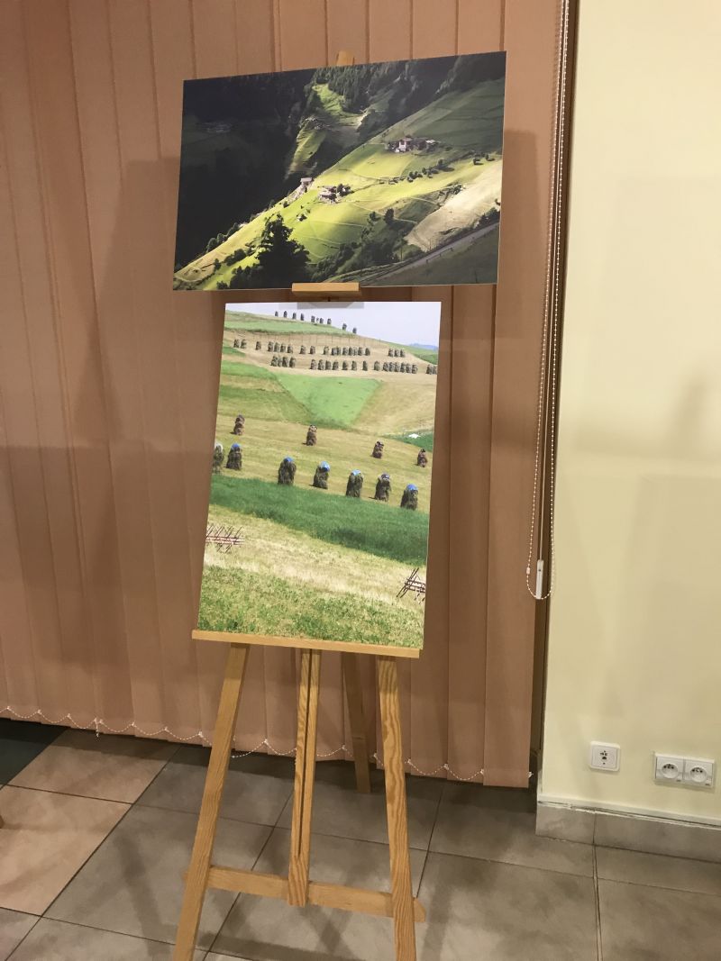 Zdjęcia Milana Motyki zaprezentowane 19 czerwca 2017 r. w Spale podczas Międzynarodowej Konferencji Bartniczej pn. Dekada Polskiego Bartnictwa. Autor zdjęć: Małgorzata Brendel