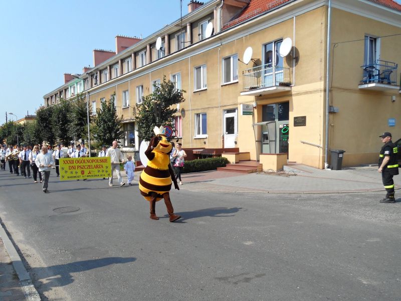 XXXII Ogólnopolskie Dni Pszczelarza w Babimoście - Barwny korowód pszczelarski, który przeszedł ulicami miasta.
Autor zdjęcia: Wiesław Zięba, www.kolodomu.blogspot.com
