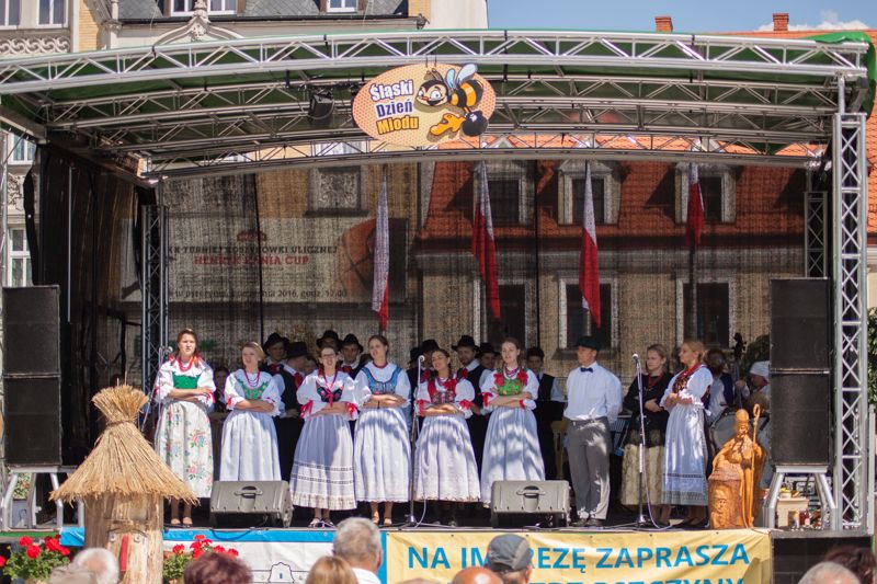 Występ artystyczny podczas VII Święta Miodu w Pszczynie. Autor zdjęcia: Kazimierz Wiśniowski