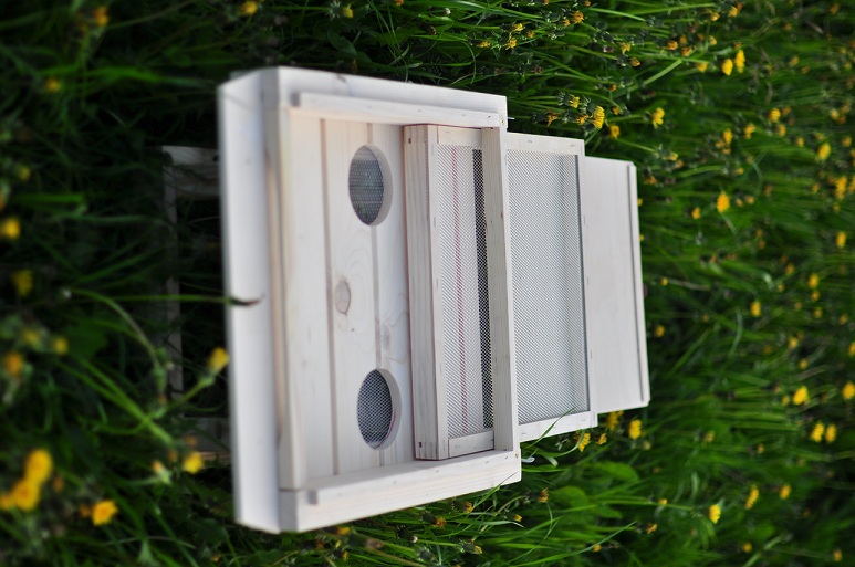 Dennica higieniczna - element ula wielkopolskiego. Źródło zdjęcia: Bartnicy.pl