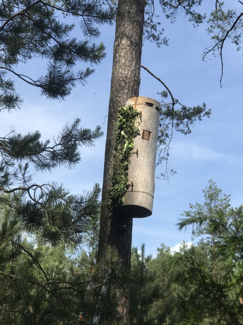 Międzynarodowa Konferencja Bartnicza pt. Dekada Polskiego Bartnictwa. Spała 2017. Autor zdjęć: Małgorzata Brendel