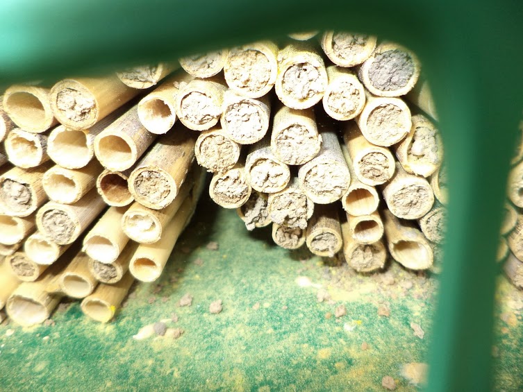 Autor zdjęcia: Łukasz Netczuk