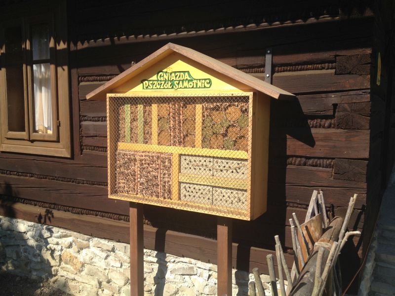 Gniazda pszczół samotnic - domek dla dzikich zapylaczy obok obiektu edukacyjnego Robotnik truteń.