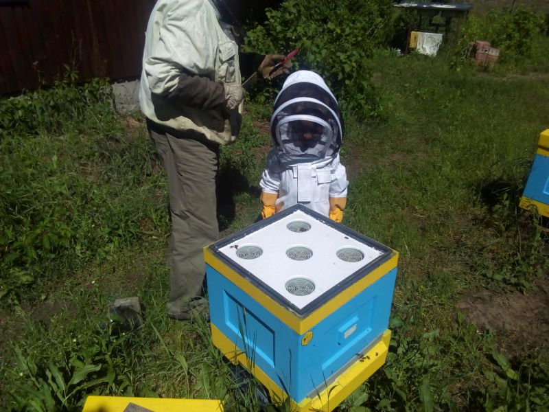 Pasieka Barbara i Edward Gołota