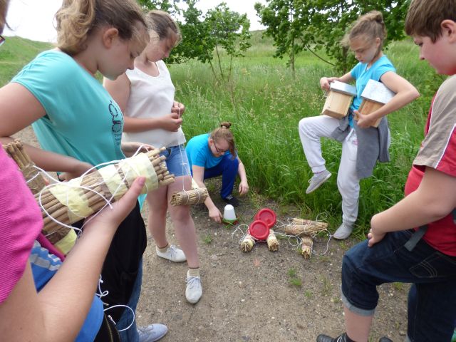 Pszczoły też pić muszą... – rozkładamy poidełka dla owadów. Źródło zdjęcia: materiały przekazane przez p. Agnieszkę Gałwa.