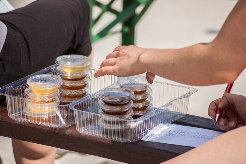 Miody do degustacji podczas VII Święta Miodu w Pszczynie. Autor zdjęcia: Kazimierz Wiśniowski