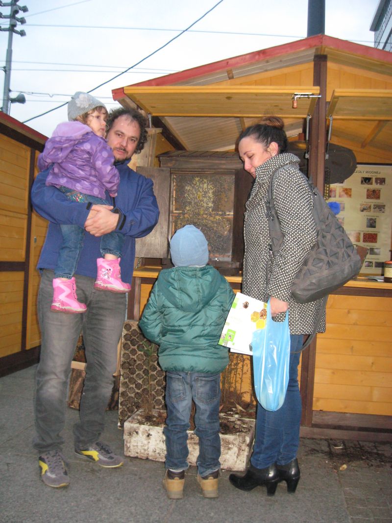 Po południu również można było zobaczyć jak pszczoły pracują na II Festiwalu Miodu w Katowicach. Autor zdjęcia: Kazimierz Wiśniowski