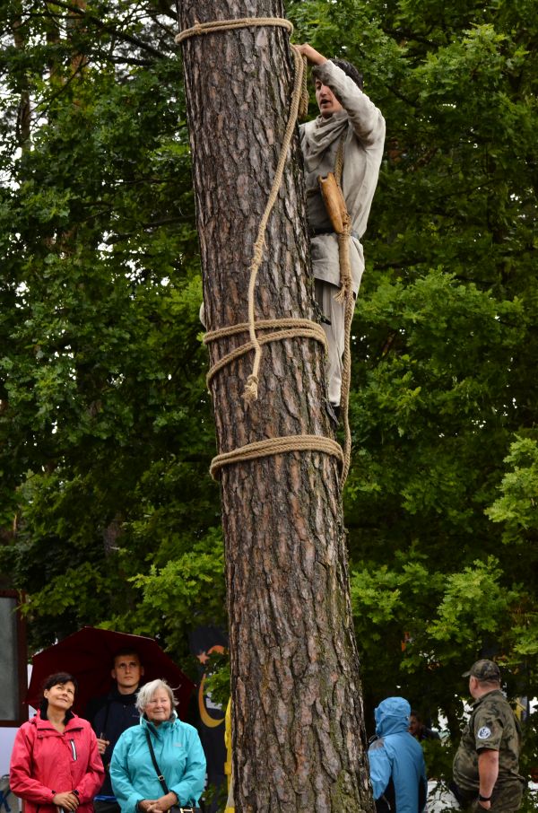 Barciowisko 2015. Autor zdjęć: Katarzyna Judycka (Pasieka u Alfreda).