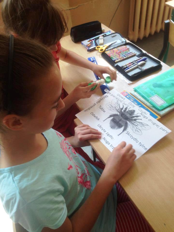 Uczniowie czwartej klasy Szkoły Podstawowej w Hanulinie podczas działania w ranach projektu pt. W szkole jak w ulu. Źródło: Szkoła Podstawowa w Hanulinie.