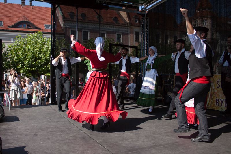 Kolejny kadr z występu tanecznego na scenie VII Święta Miodu w Pszczynie. Autor zdjęcia: Kazimierz Wiśniowski