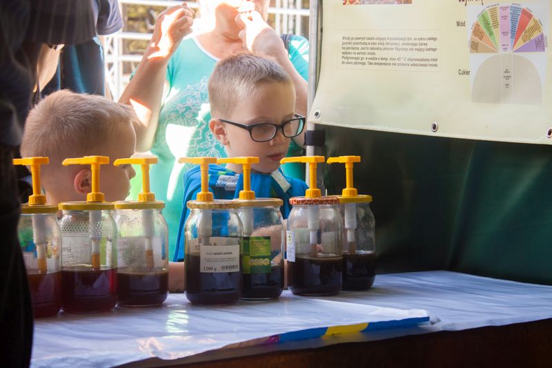 Młodzi uczestnicy VII Święta Miodu w Pszczynie podczas degustacji konkursowych miodów. Autor zdjęcia: Kazimierz Wiśniowski
