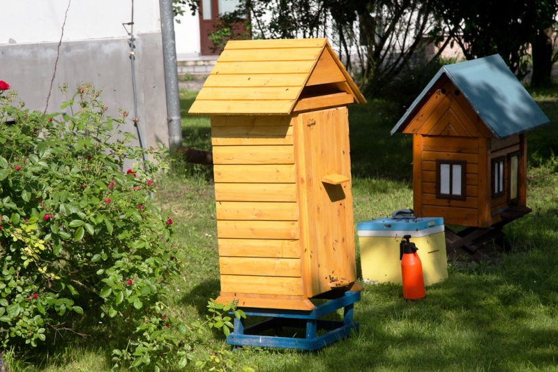 Ul w Pszczelej Woli. Źródło zdjęcia: materiały nadesłane przez panią Dominikę Karoń