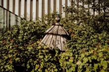 Relacja z wydarzenia pt. Festiwal Kultury Pszczelarskiej w Lublinie 2023