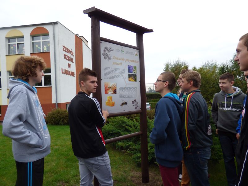BEE albo nie być... w ZS w Lubianie.