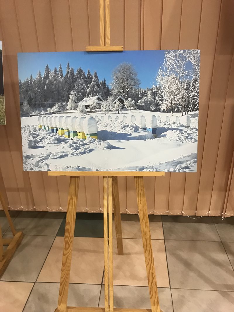 Zdjęcia Milana Motyki zaprezentowane 19 czerwca 2017 r. w Spale podczas Międzynarodowej Konferencji Bartniczej pn. Dekada Polskiego Bartnictwa. Autor zdjęć: Małgorzata Brendel