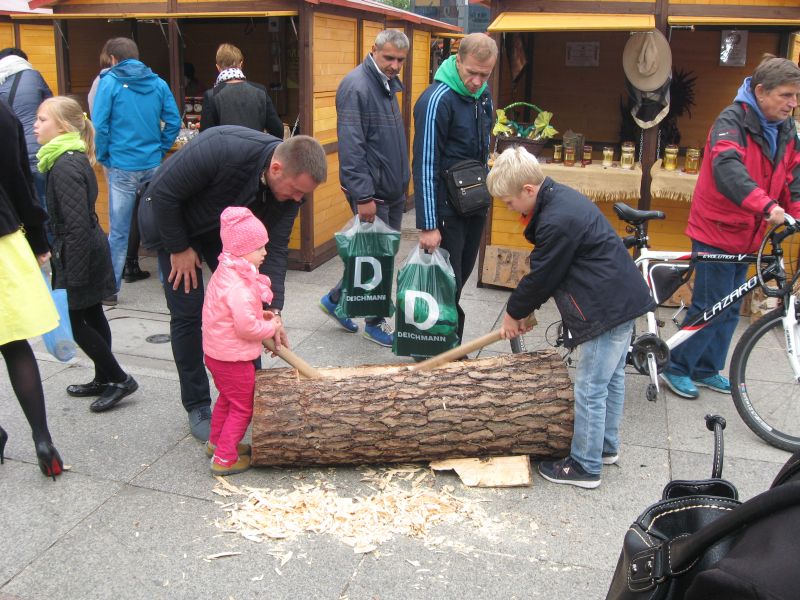 Najmłodsi uczestnicy dziania barci na II Festiwalu Miodu w Katowicach. Autor zdjęcia: Kazimierz Wiśniowski