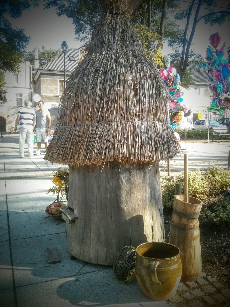 Ul podczas V Krzeszowickiego Miodobrania. Autorka zdjęcia: Renata Gasek