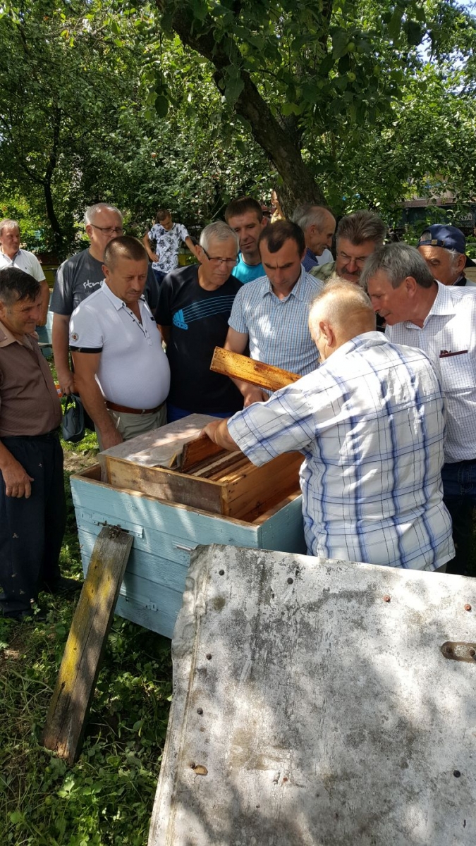 Pietro Senkiw częstuje miodem. Autor zdjęcia: Filip Janusz