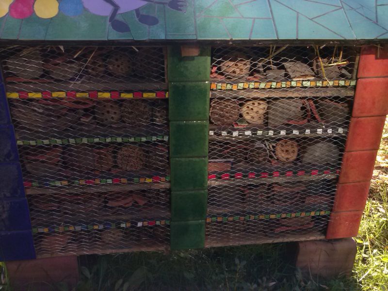 Domek dla dzikich zapylaczy obok Miejskiej Biblioteki Publicznej w Jaworznie. Zawartość domku od strony biblioteki. Autor zdjęcia: Marcin Balana