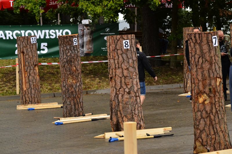 Barciowisko 2015. Autor zdjęć: Katarzyna Judycka (Pasieka u Alfreda).